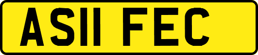 AS11FEC