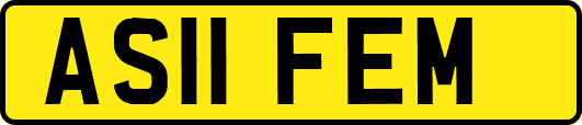 AS11FEM