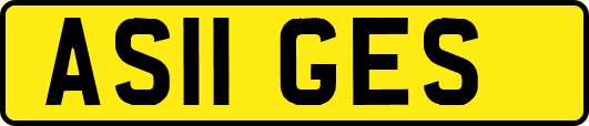 AS11GES