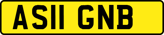 AS11GNB