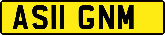 AS11GNM