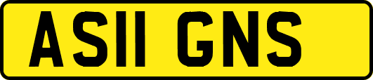 AS11GNS