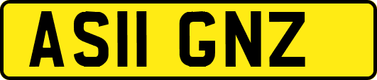 AS11GNZ