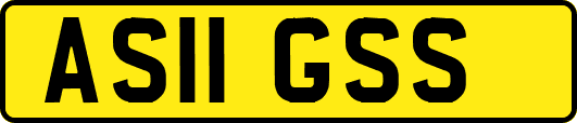 AS11GSS