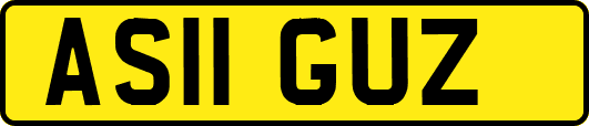 AS11GUZ