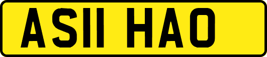 AS11HAO