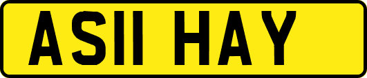 AS11HAY