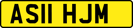 AS11HJM
