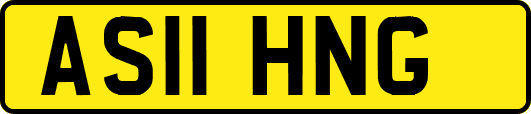 AS11HNG