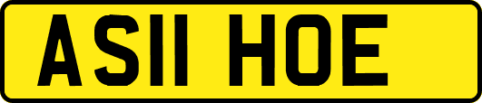 AS11HOE