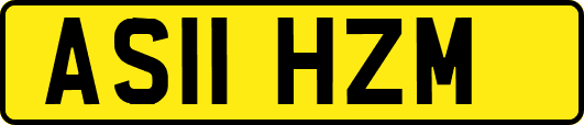 AS11HZM