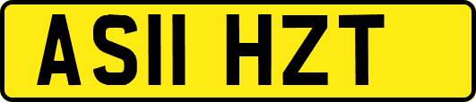 AS11HZT