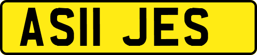 AS11JES