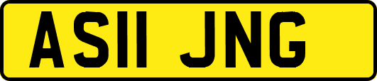 AS11JNG