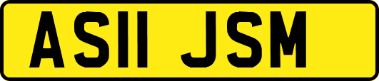 AS11JSM