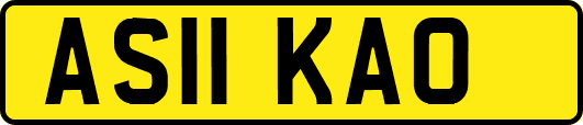 AS11KAO