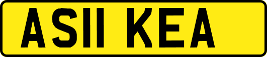 AS11KEA