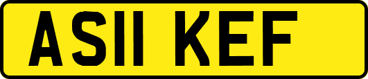 AS11KEF