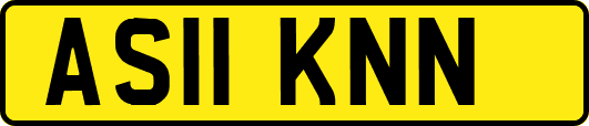 AS11KNN