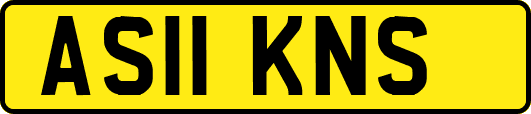 AS11KNS