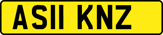 AS11KNZ