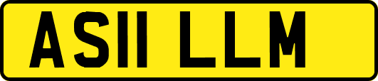 AS11LLM