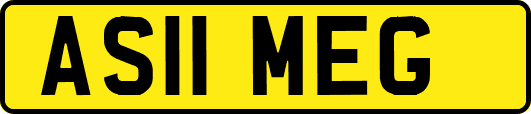 AS11MEG