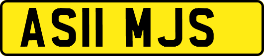 AS11MJS