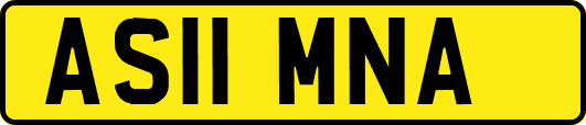 AS11MNA