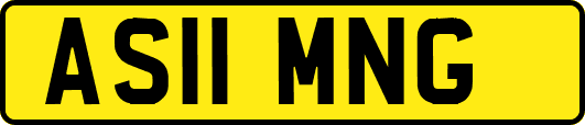 AS11MNG