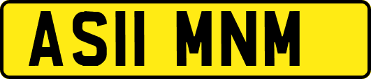AS11MNM
