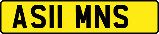 AS11MNS