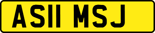 AS11MSJ