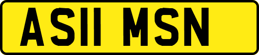 AS11MSN