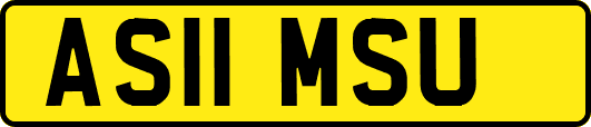 AS11MSU
