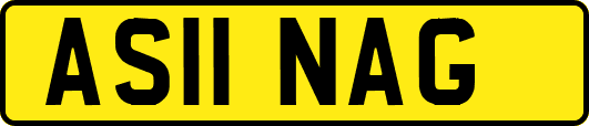 AS11NAG