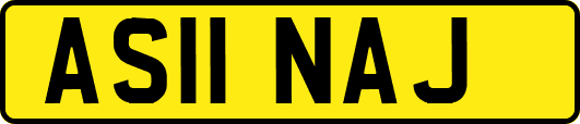 AS11NAJ