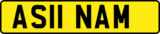 AS11NAM
