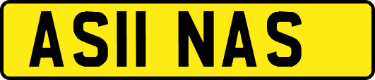 AS11NAS