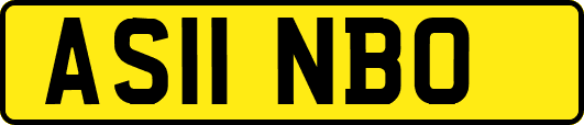 AS11NBO