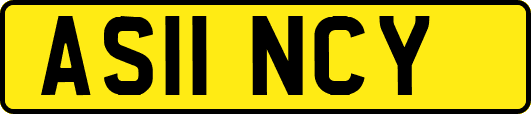 AS11NCY