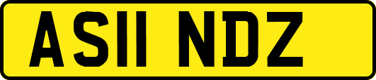 AS11NDZ