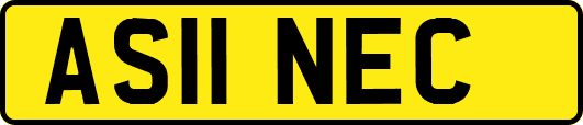 AS11NEC