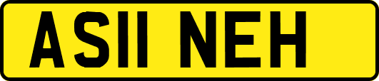 AS11NEH