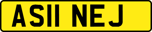 AS11NEJ