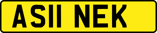 AS11NEK