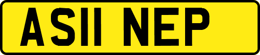 AS11NEP