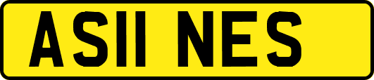AS11NES