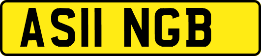 AS11NGB