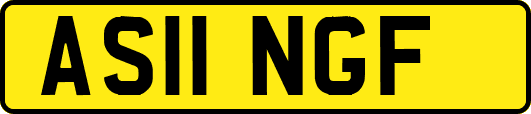 AS11NGF